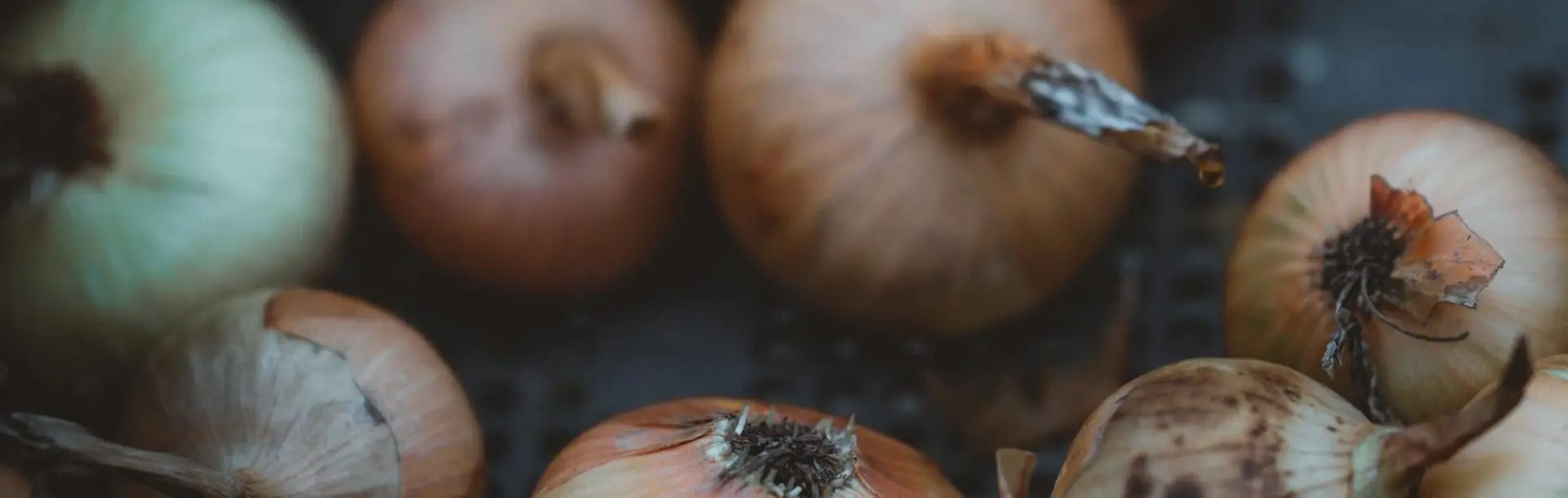 Onions
